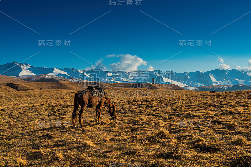 宁静的秋天的风景。