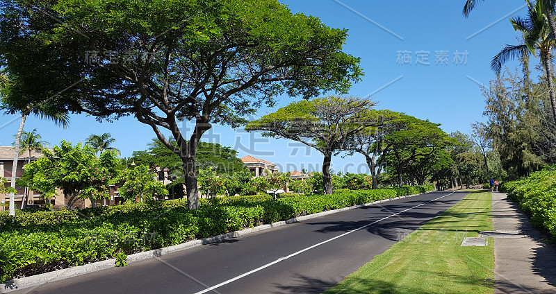 夏威夷大岛，Waikoloa度假村周围的道路