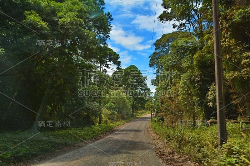 坎波阿雷格里景观