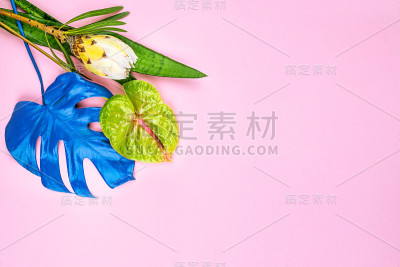 五颜六色的鲜花花束。
