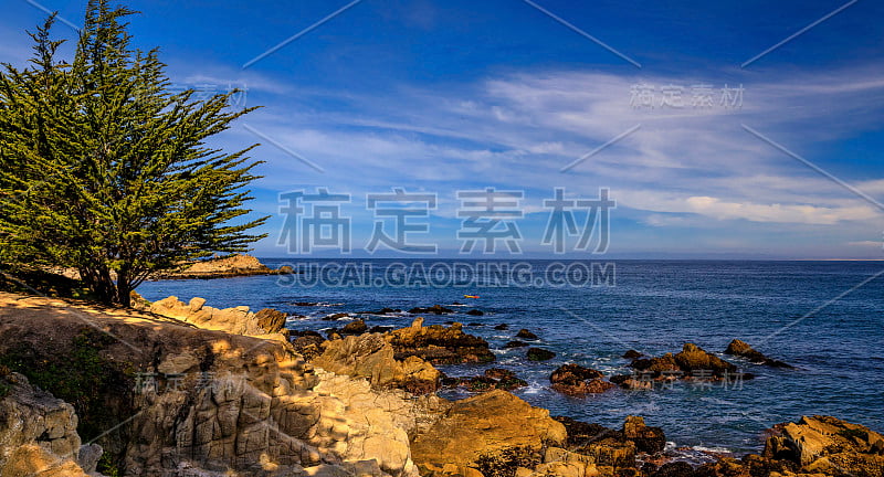 太平洋海岸柏树和海浪拍打着崎岖的加州北部蒙特雷海岸线的悬崖