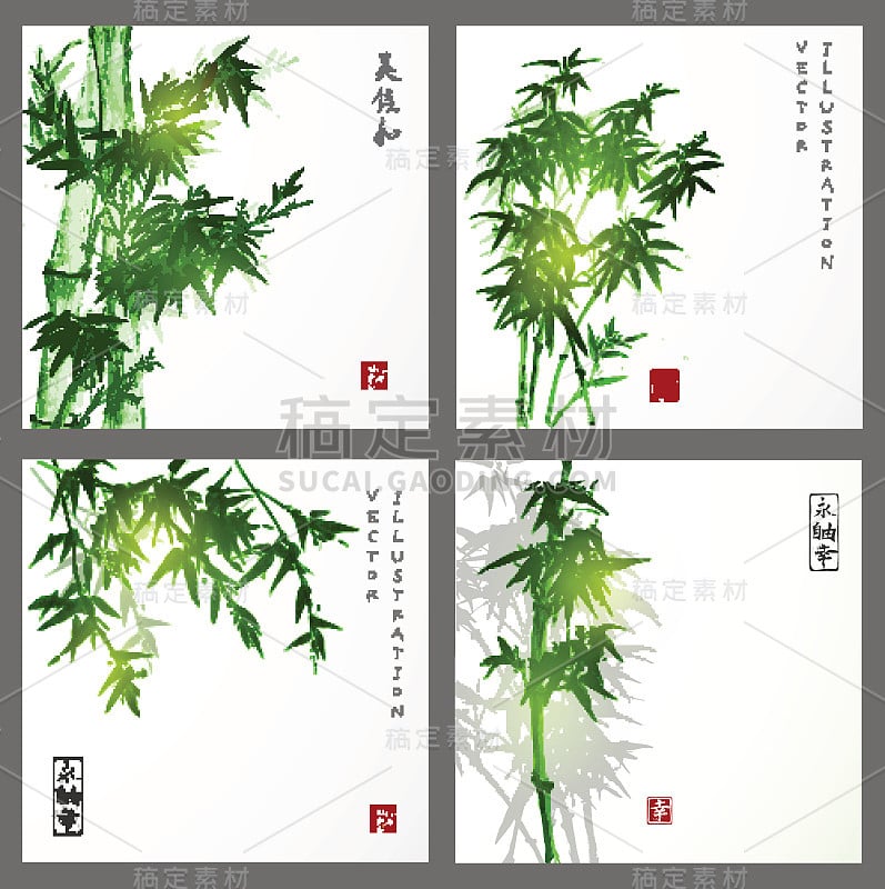 白色背景上的青竹树。