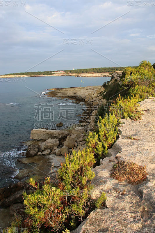 马里格海岸