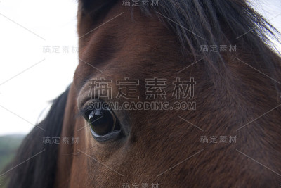你在看我吗?