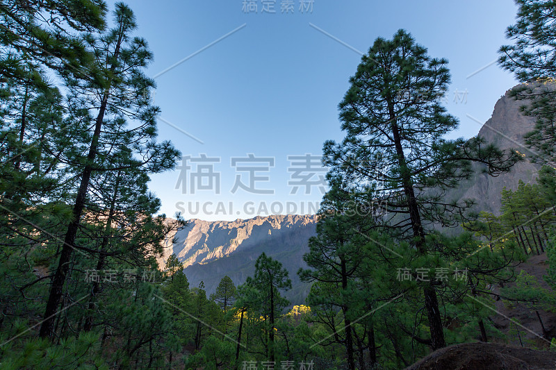 塔布里恩特火山口的风景与绿色的松林，峡谷和岩石山附近的观点Cumbrecita，拉帕尔马，加那利群岛