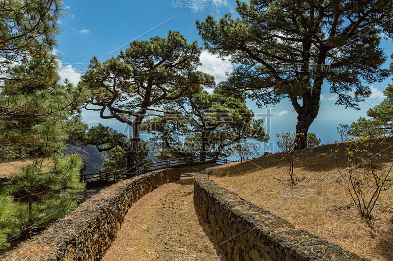 Mirador de Las Playas位于耶罗岛的松树林中。从云层上方俯瞰的壮观景色。西班牙加纳