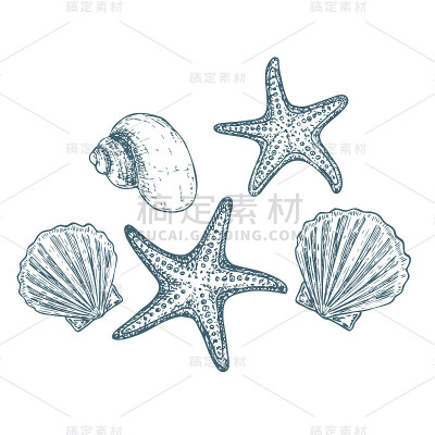 海滩暑假