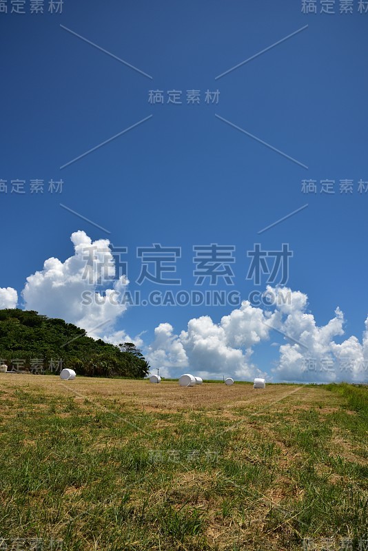 夏天的乡村农场