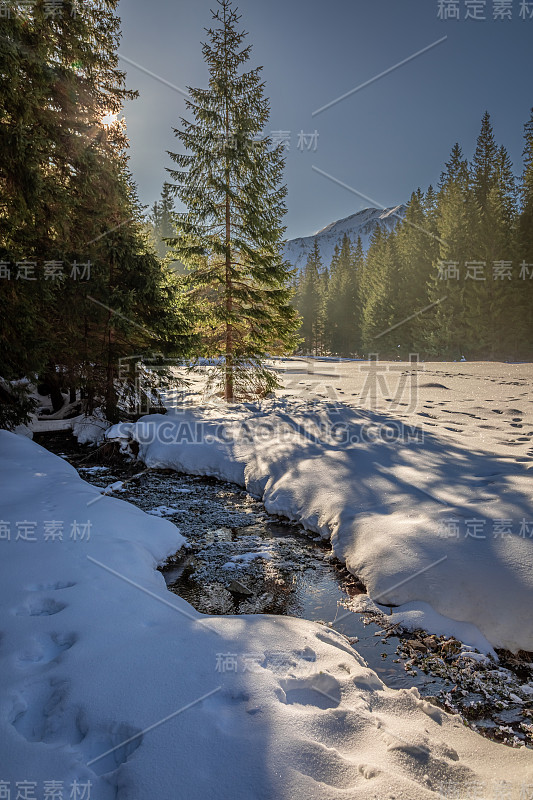 美妙的河流和冰冻森林在科斯切里斯卡山谷冬天