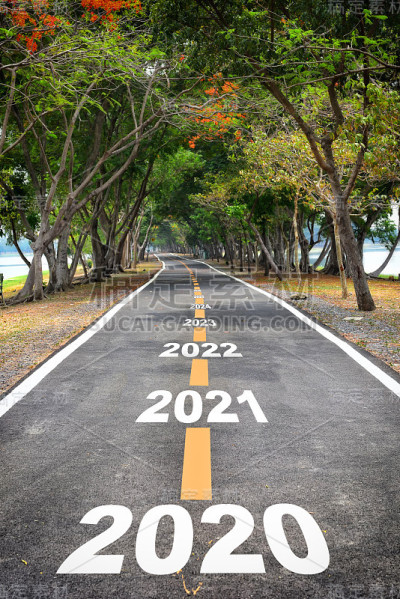 树隧道与2020年至2026年的沥青路面