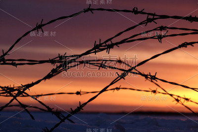 岛