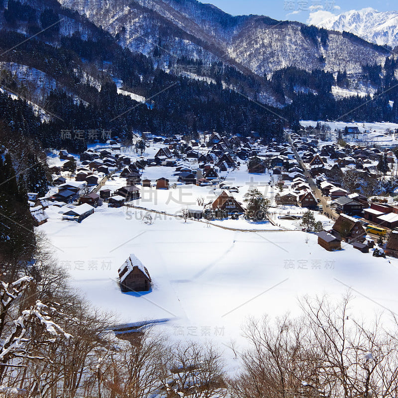 白川哥 / 石山视点