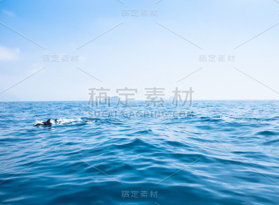 索伦托，和海豚一起欣赏海景