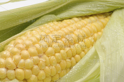 玉米