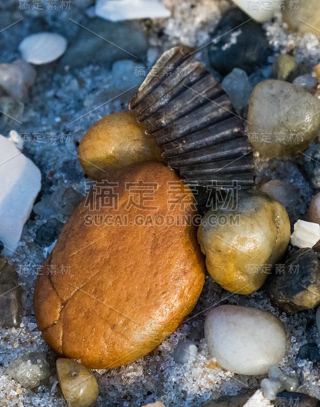 流浪者特写镜头组成