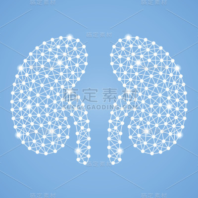 在绿色背景下分离的人类肾脏。矢量图