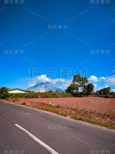 锡纳