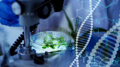 基因工程的概念。医学科学。科学实验室。