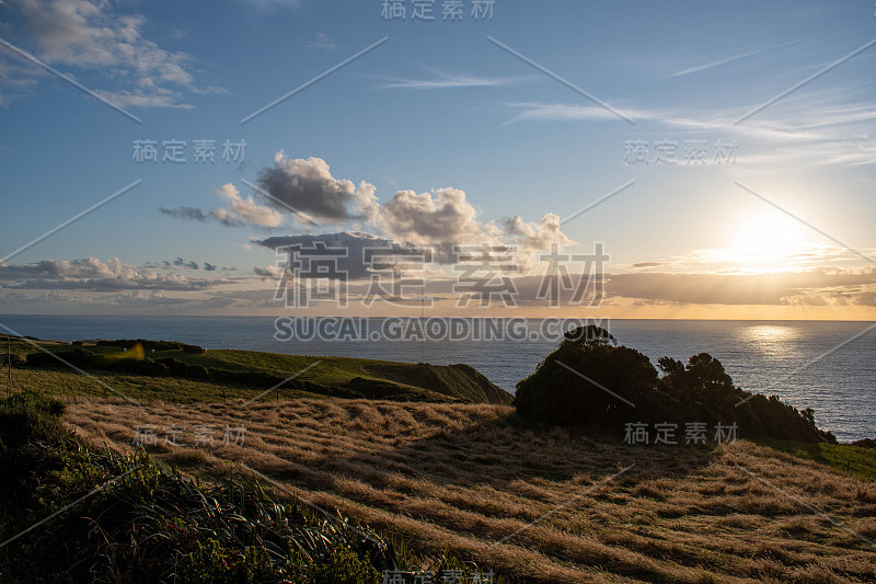 智利奇洛伊岛的柏油路和黄色的草地