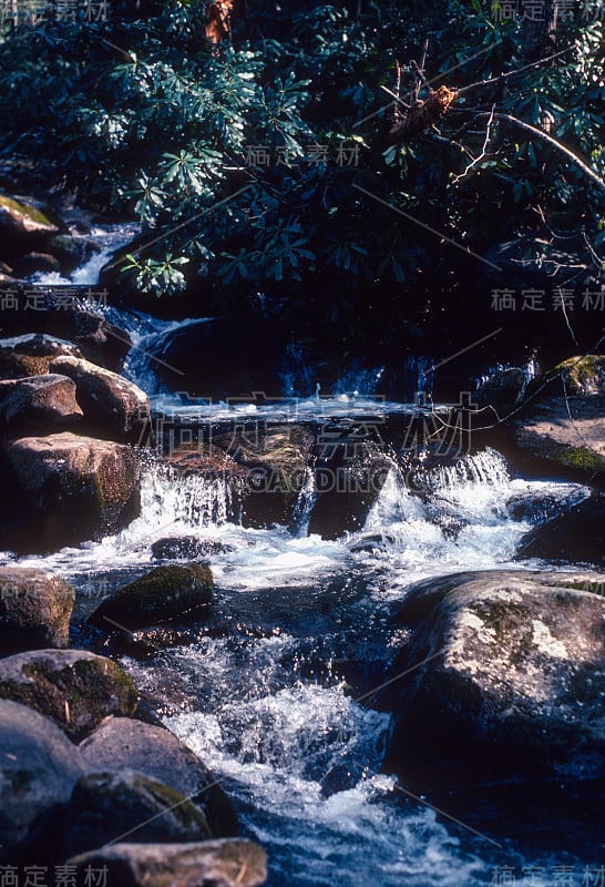 大烟山NP丛林小溪瀑布- 1980