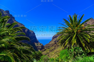 手掌在山