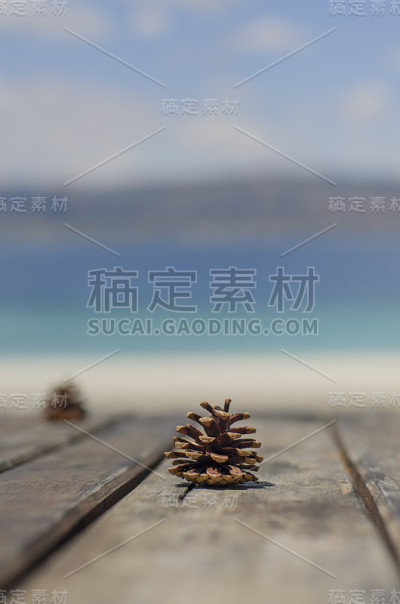 Sea和table detail