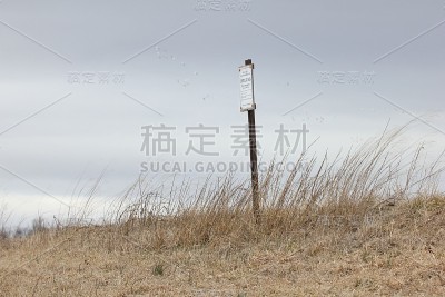 标志和鹅