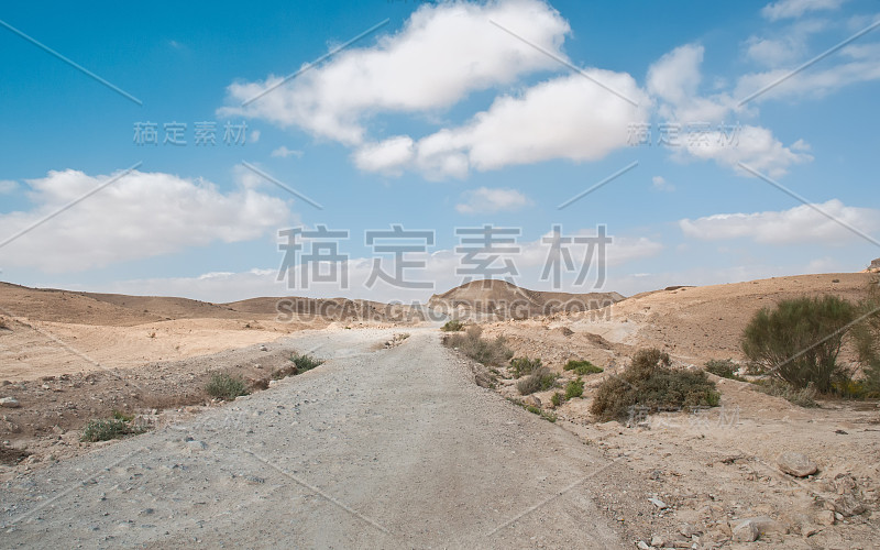 野生沙漠道路景观。