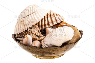 碗里的贝壳