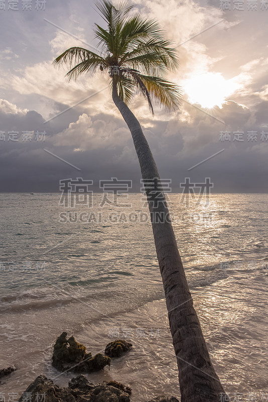 瓜德罗普岛,美丽的全景