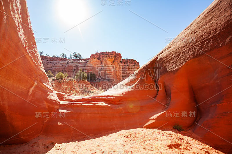 犹他州斑马点附近峡谷的岩层