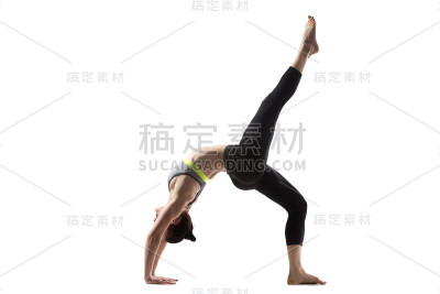 独腿轮构成