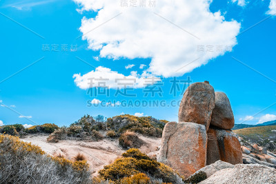 在鲜艳的蓝天和白云的映衬下，巨大的橙色岩石和澳大利亚本土的灌木