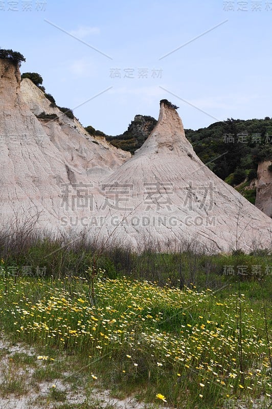 野花和破损的粘土岩石