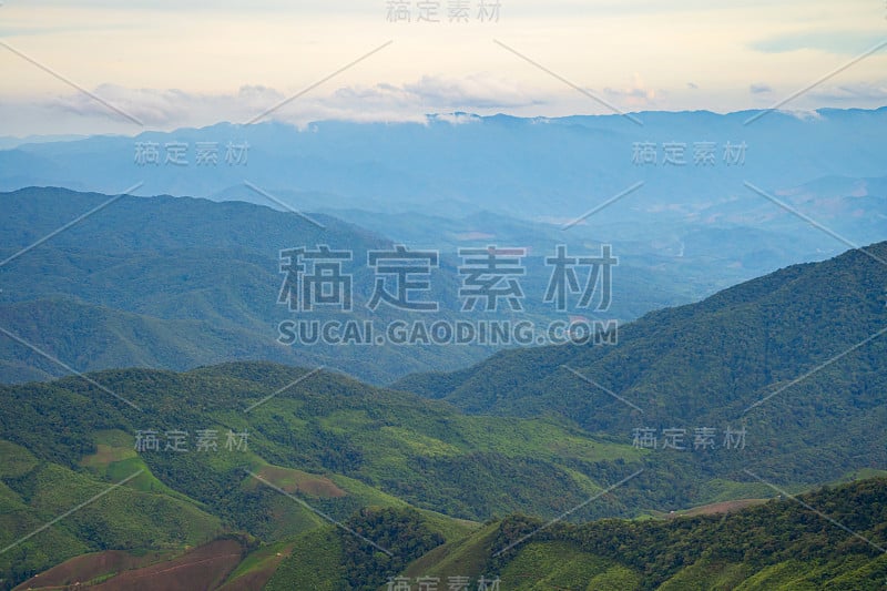 鸟瞰图的森林树木和绿色的山小山。自然景观背景，泰国。