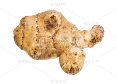孤立的菊芋成熟块茎