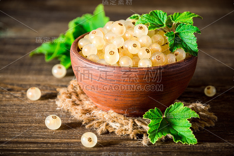 新鲜的白醋栗在陶瓷碗上，深色的木制背景。