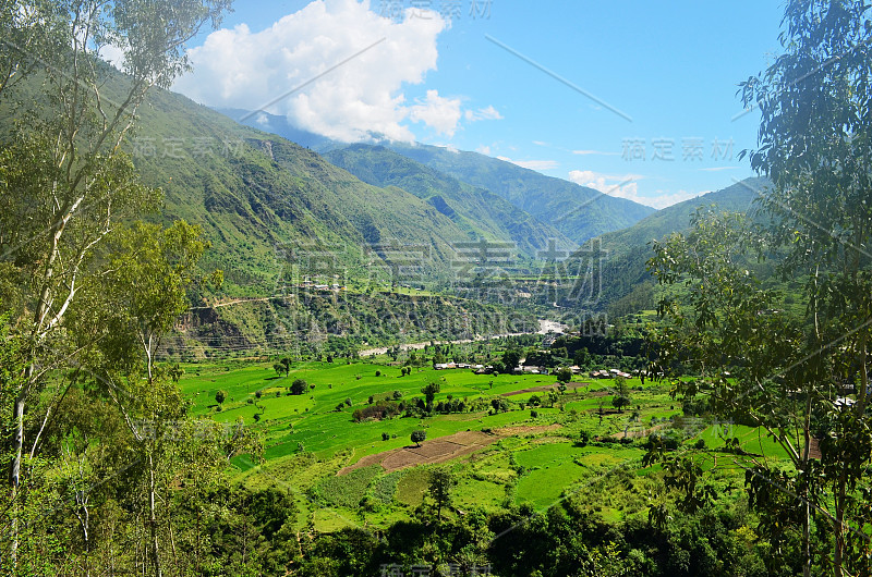 印度喜马偕尔邦的自然绿色风景背景