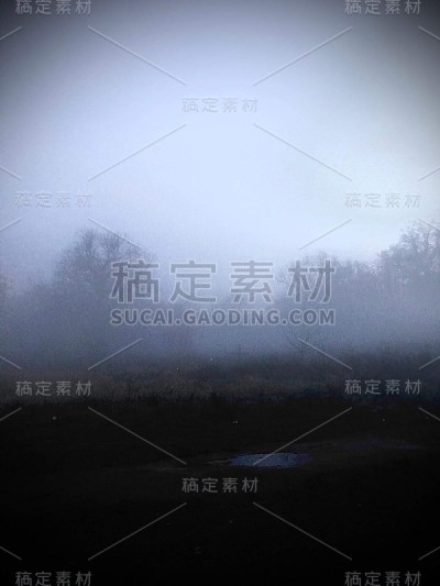 雾