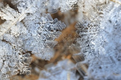 雪晶特写