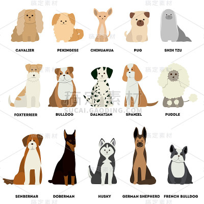 犬种设置在白色背景。