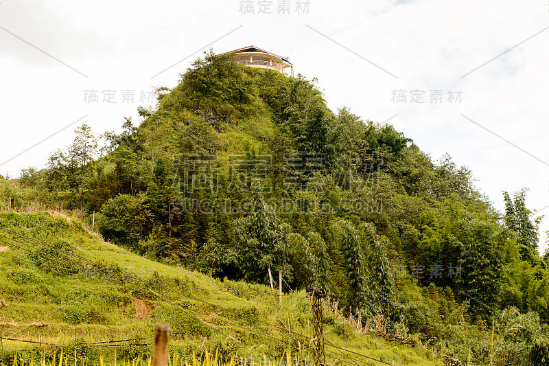 自然和美丽的山景村庄猫，越南