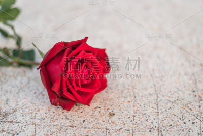 情人节石头地板上的红玫瑰花