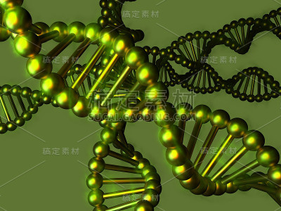 脱氧核糖核酸(DNA)