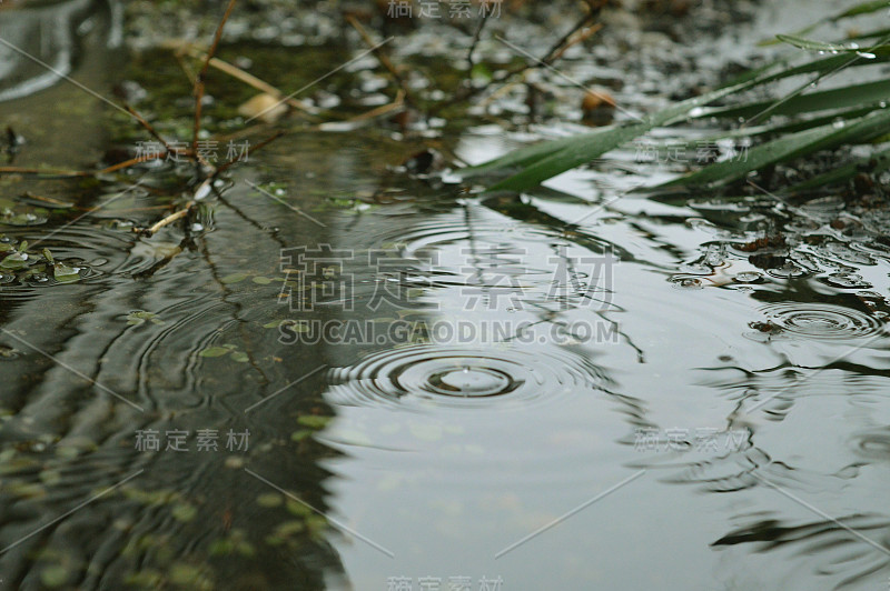 雨滴落入水坑，长岛，纽约