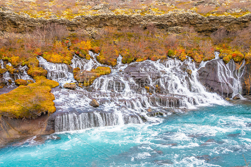 Hraunfossar系列瀑布barnafoss绿松石地下水收集到跳水池在秋季