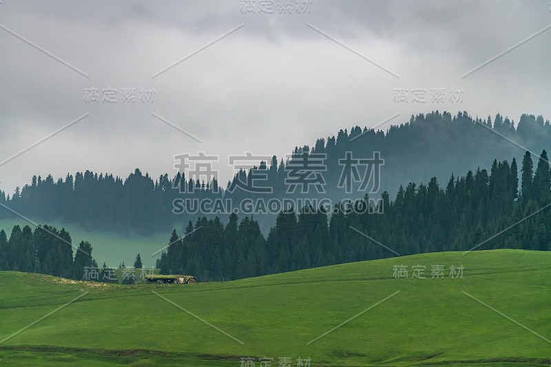 中国新疆江布拉克风景名胜区。