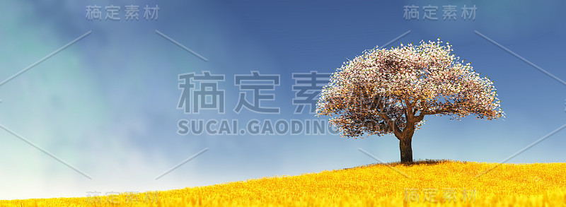 一棵孤独的树在耕种的土地上