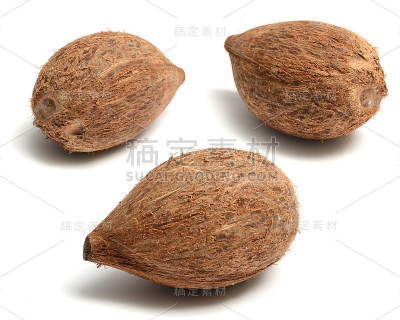 科库努特