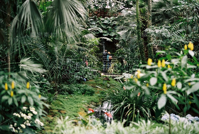 植物园狭窄的小路